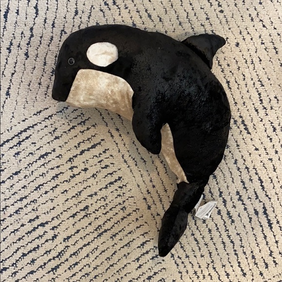 jelly cat dolphin